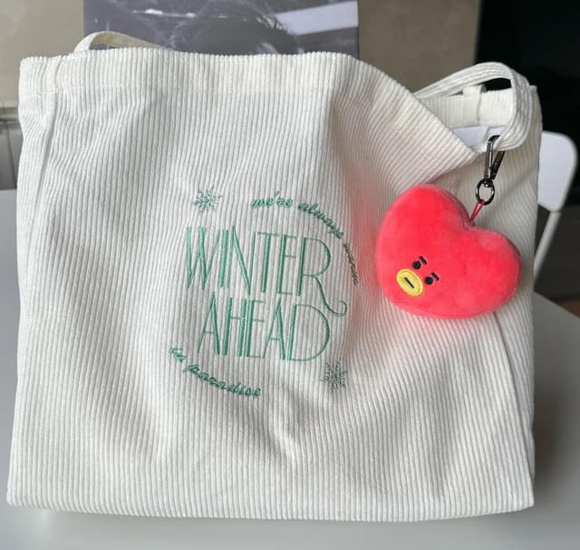 Winter ahead - bag — photo 5