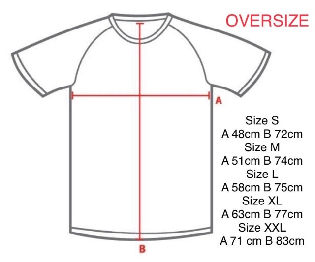  Spring Day - oversize sweatshirt/t-shirt — photo 5